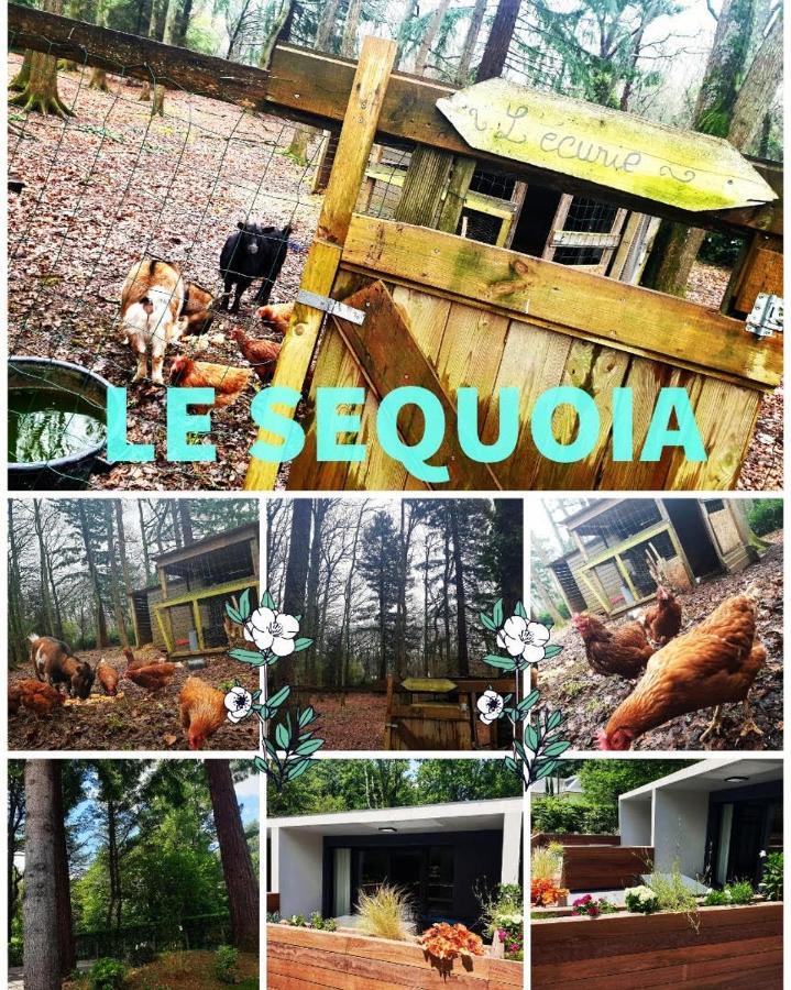 Le Sequoia Apartman Saint-Sébastien-sur-Loire Kültér fotó