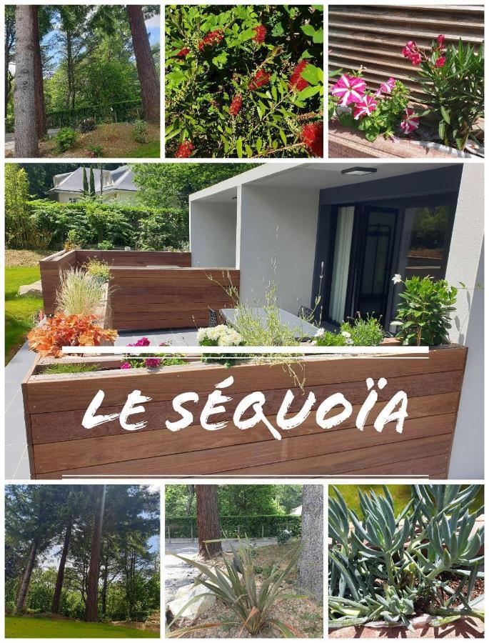 Le Sequoia Apartman Saint-Sébastien-sur-Loire Kültér fotó